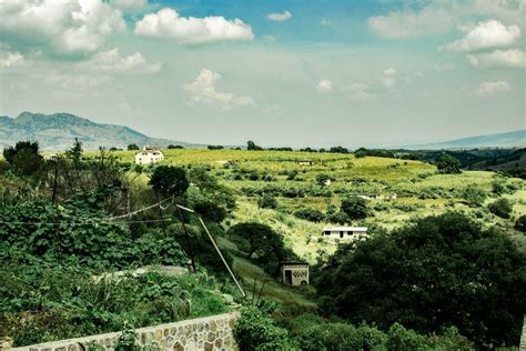 Countryside Living in Mexico: The Charms and .